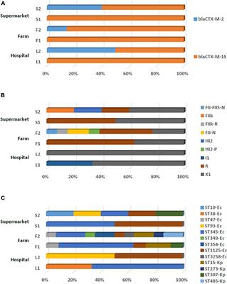 Occurrence and Molecular Characteristics of Extended-Spectrum Beta-Lactamase-Producing Enterobacterales Recovered From Chicken, Chicken Meat, and Human Infections in Sao Paulo State, Brazil